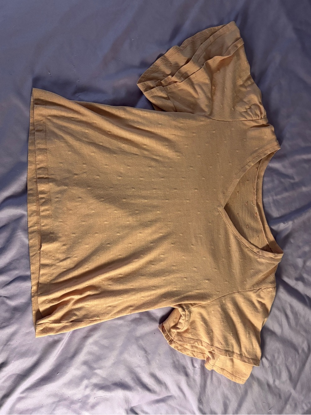 Light Peach Dot Textured Short Sleeve Top
